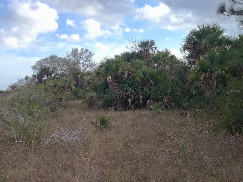 50670 Bermont Road Punta Gorda FL 33982