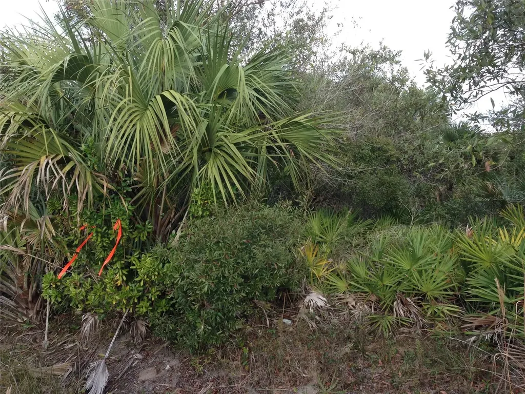 50670 Bermont Road Punta Gorda FL 33982