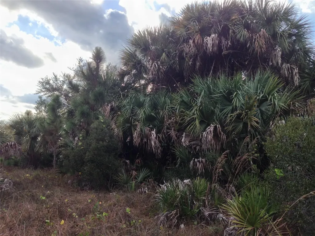50670 Bermont Road Punta Gorda FL 33982