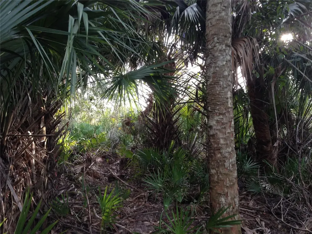 50670 Bermont Road Punta Gorda FL 33982