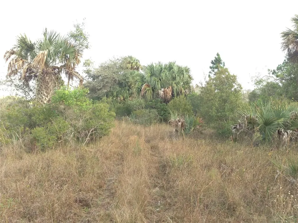 50670 Bermont Road Punta Gorda FL 33982