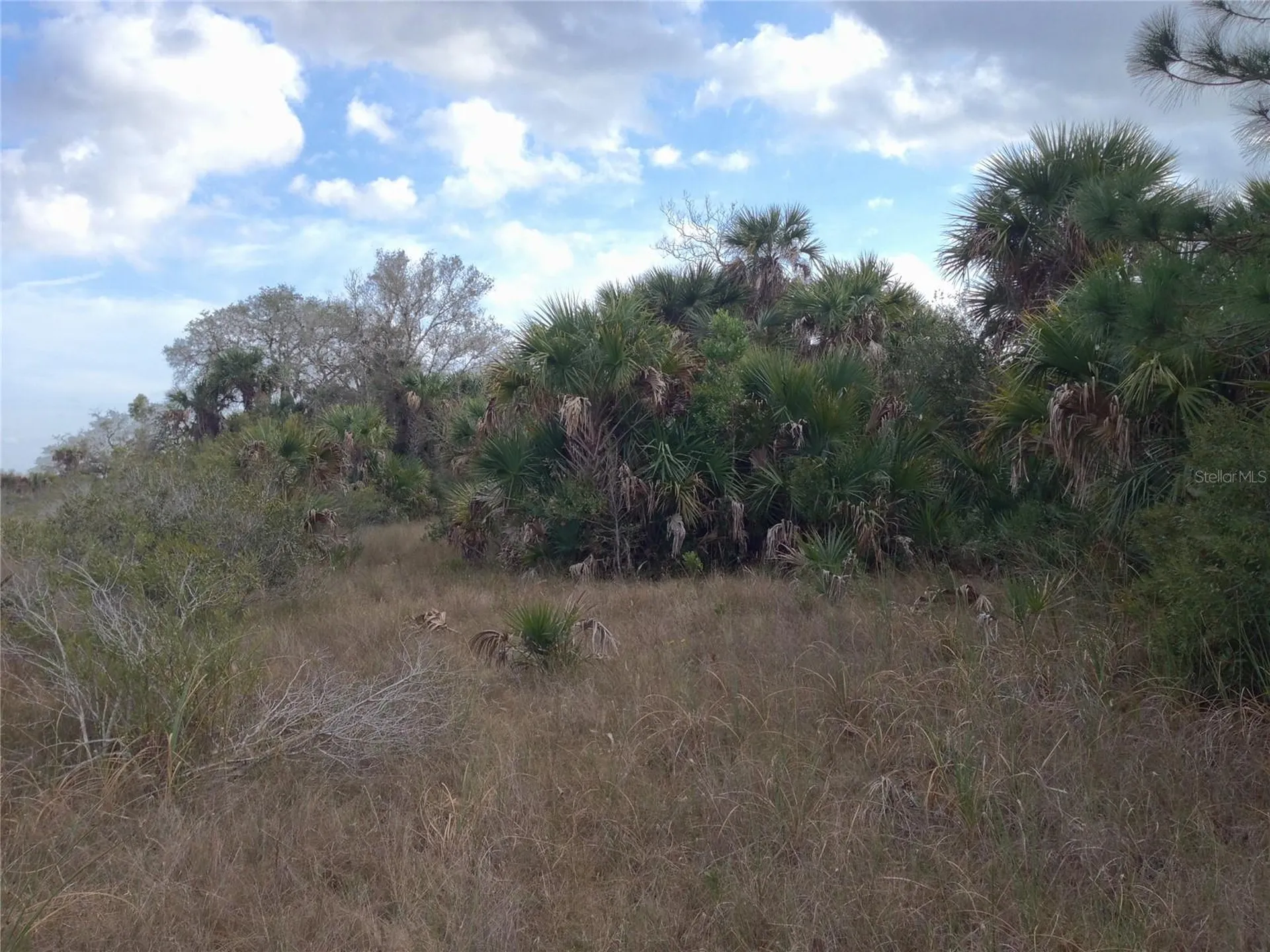 50670 Bermont Road Punta Gorda FL 33982