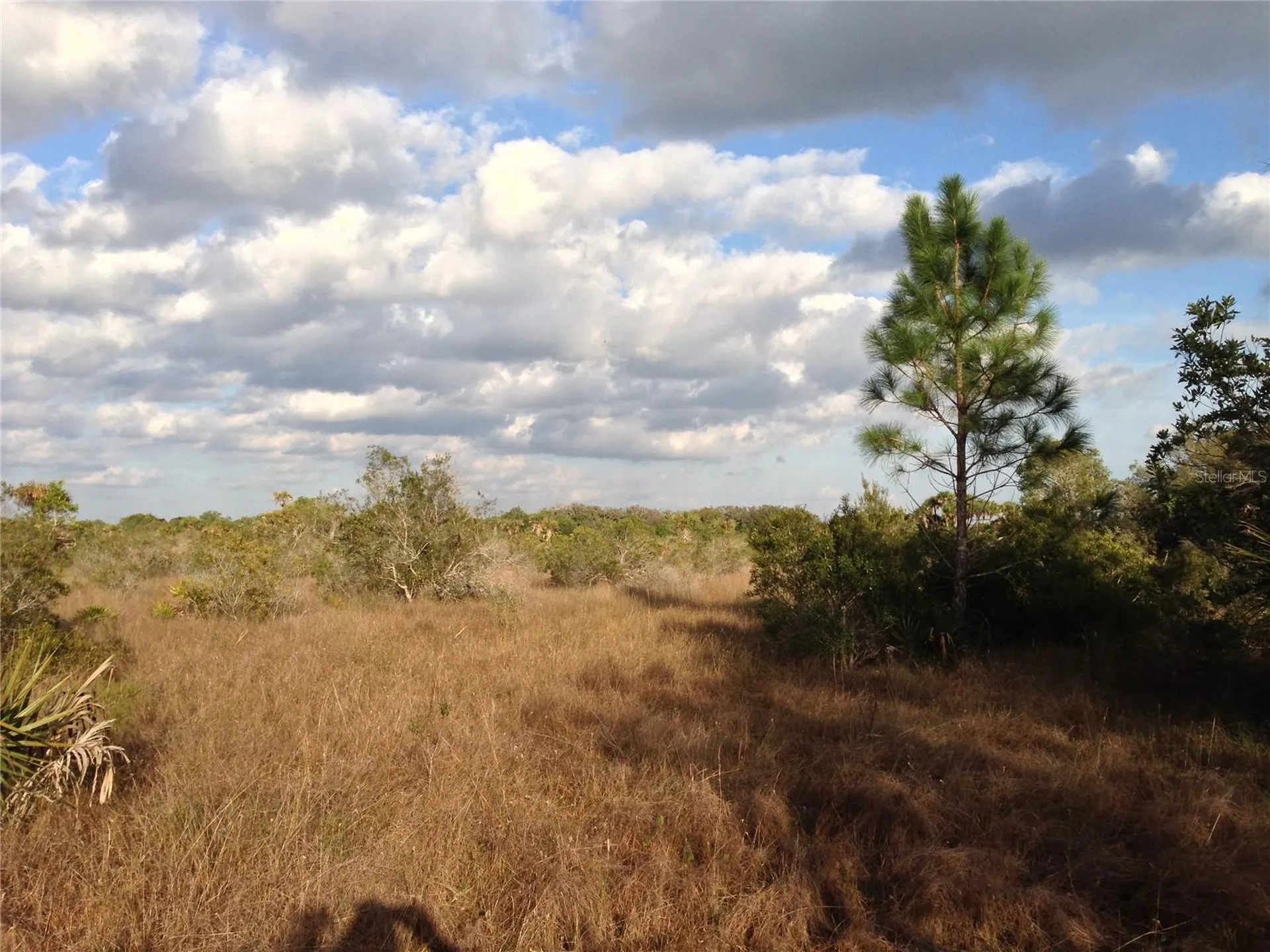 50670 Bermont Road Punta Gorda FL 33982