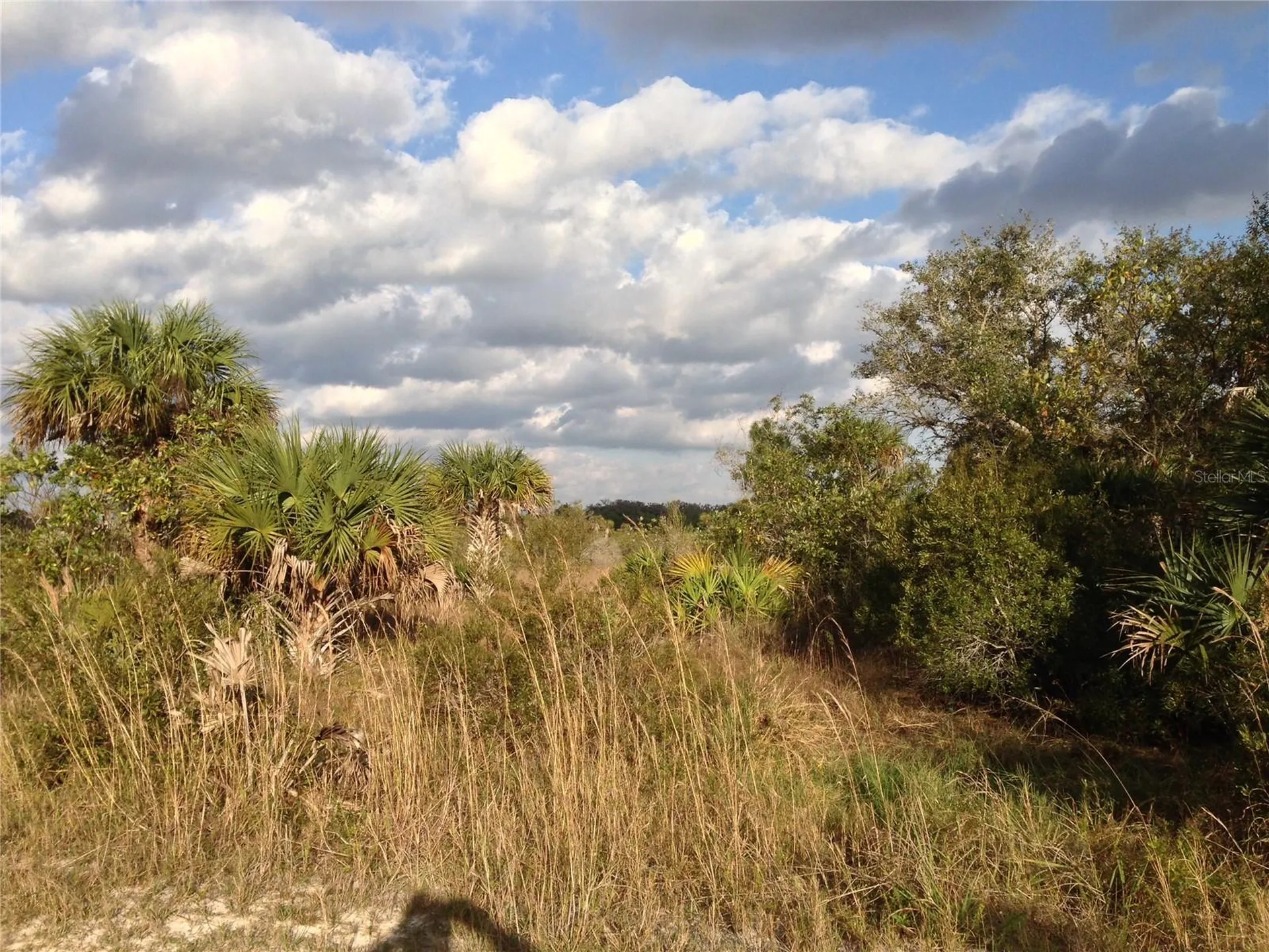 50670 Bermont Road Punta Gorda FL 33982