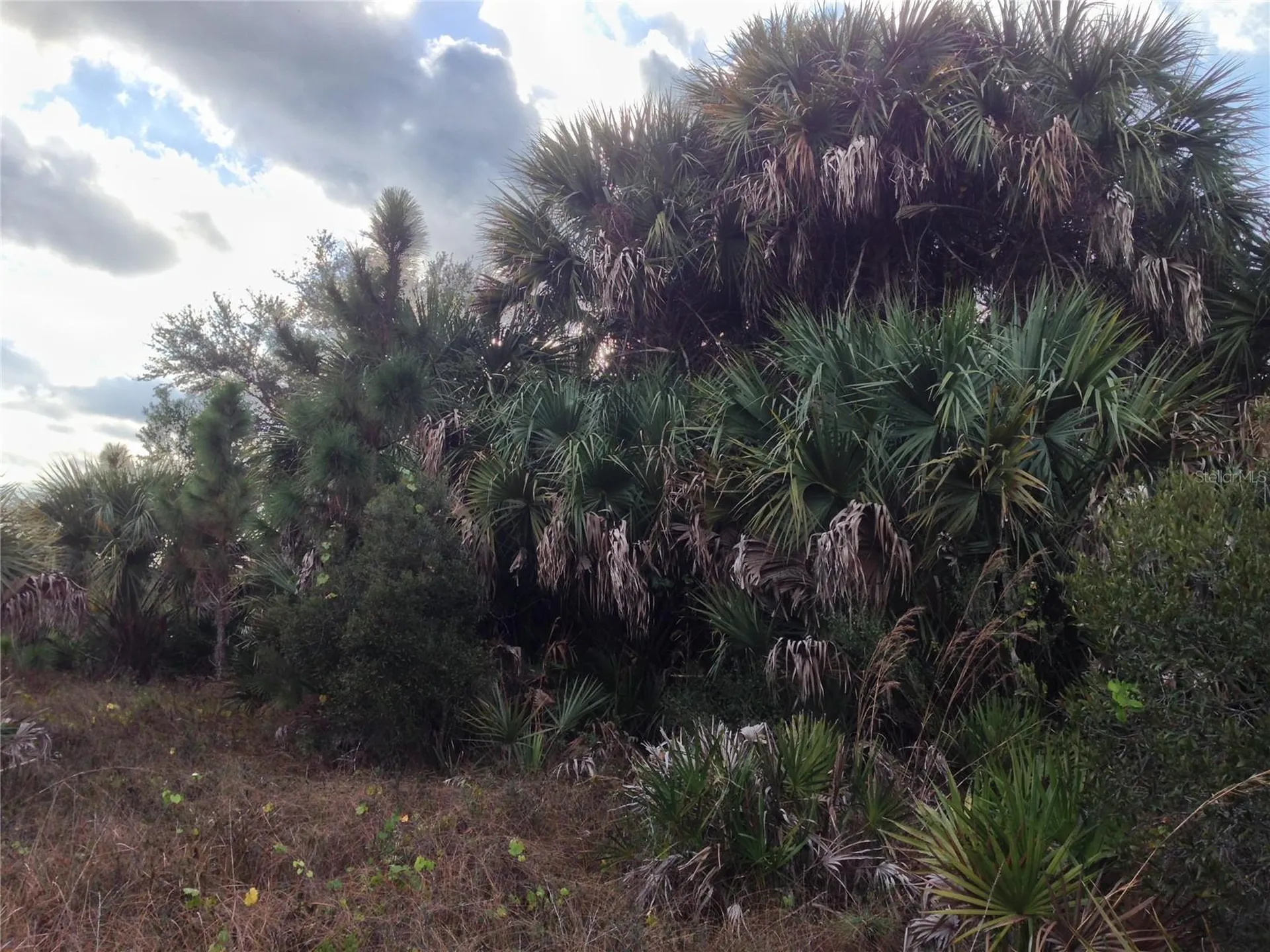 50670 Bermont Road Punta Gorda FL 33982