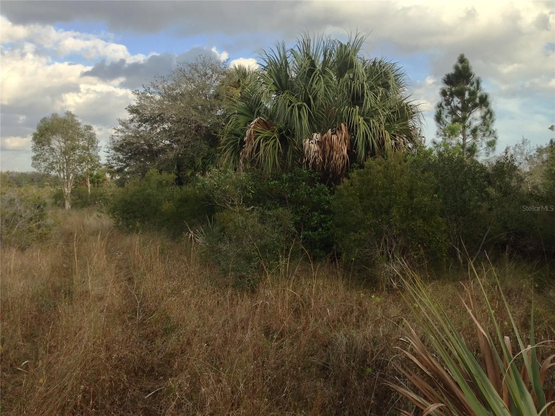 50670 Bermont Road Punta Gorda FL 33982