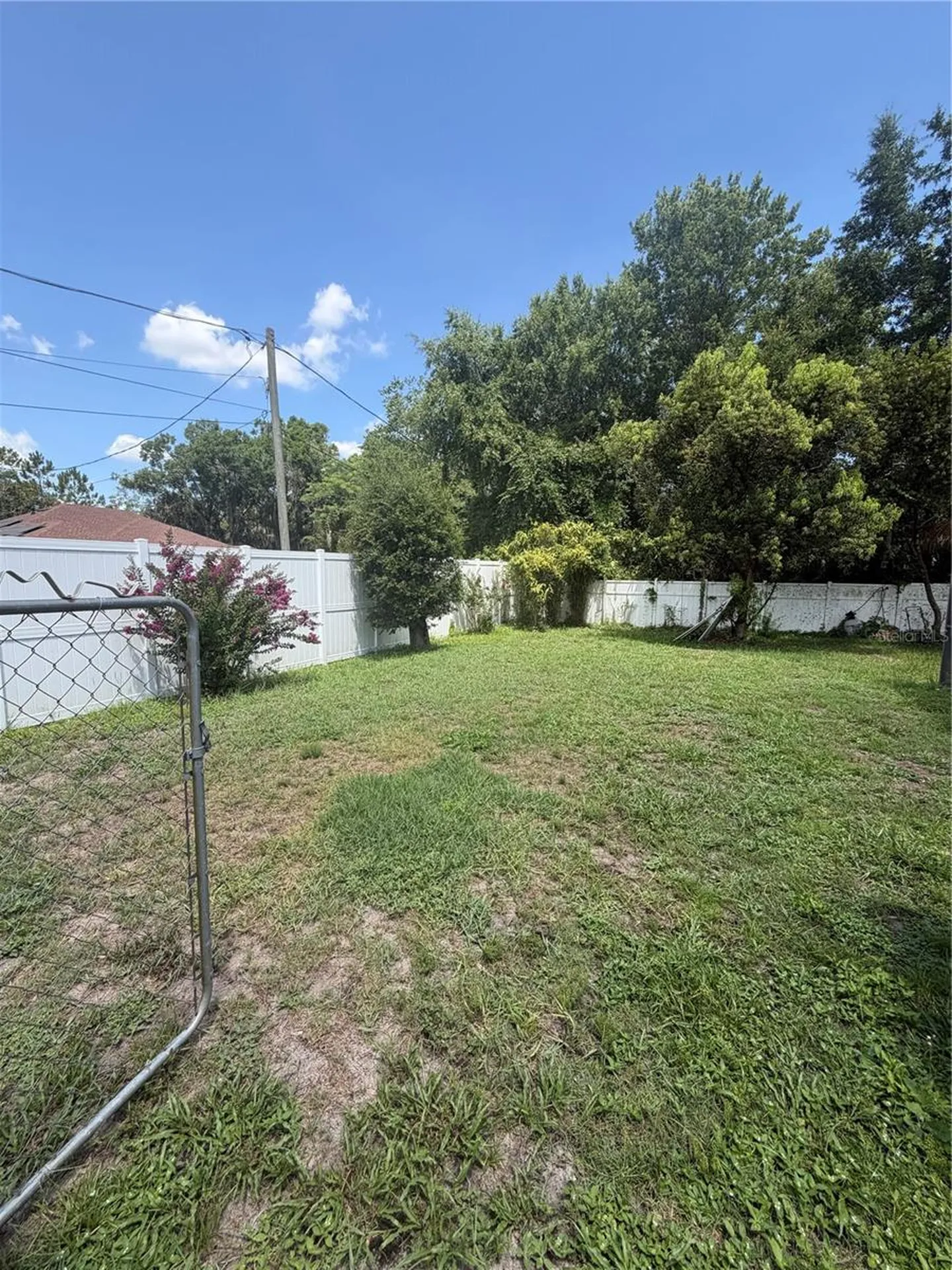 14309 Lake Price Drive Orlando FL 32826