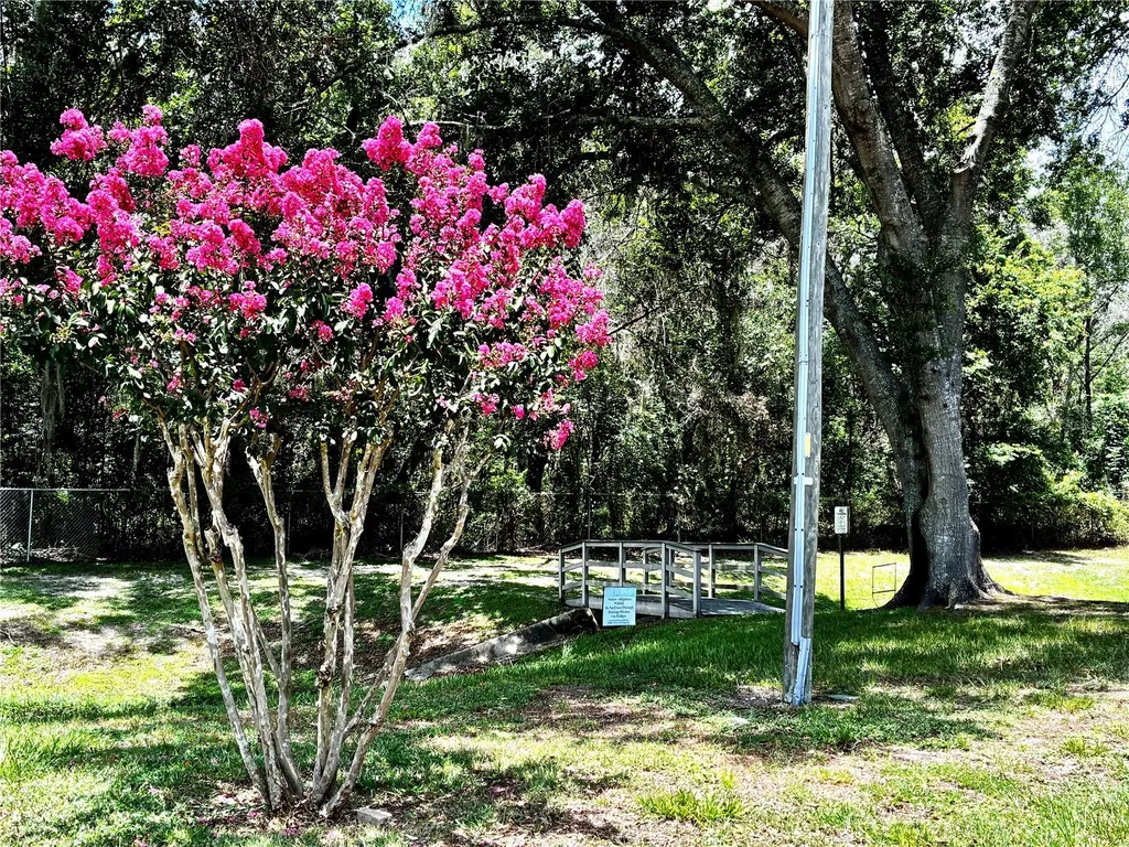 3764 NW 54th Lane Gainesville FL 32653