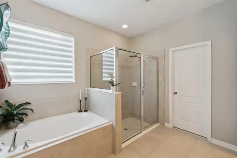 15587 Hamlin Blossom Avenue Winter Garden FL 34787
