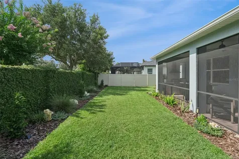 15587 Hamlin Blossom Avenue Winter Garden FL 34787