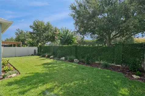 15587 Hamlin Blossom Avenue Winter Garden FL 34787
