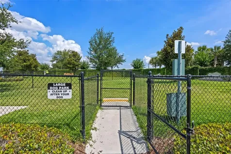 15587 Hamlin Blossom Avenue Winter Garden FL 34787