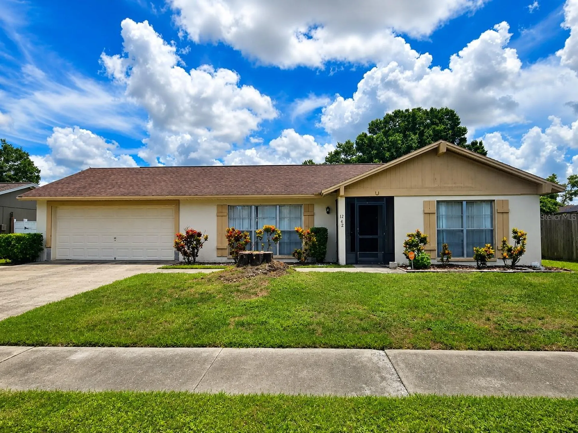 12412 Cardiff Drive Tampa FL 33625
