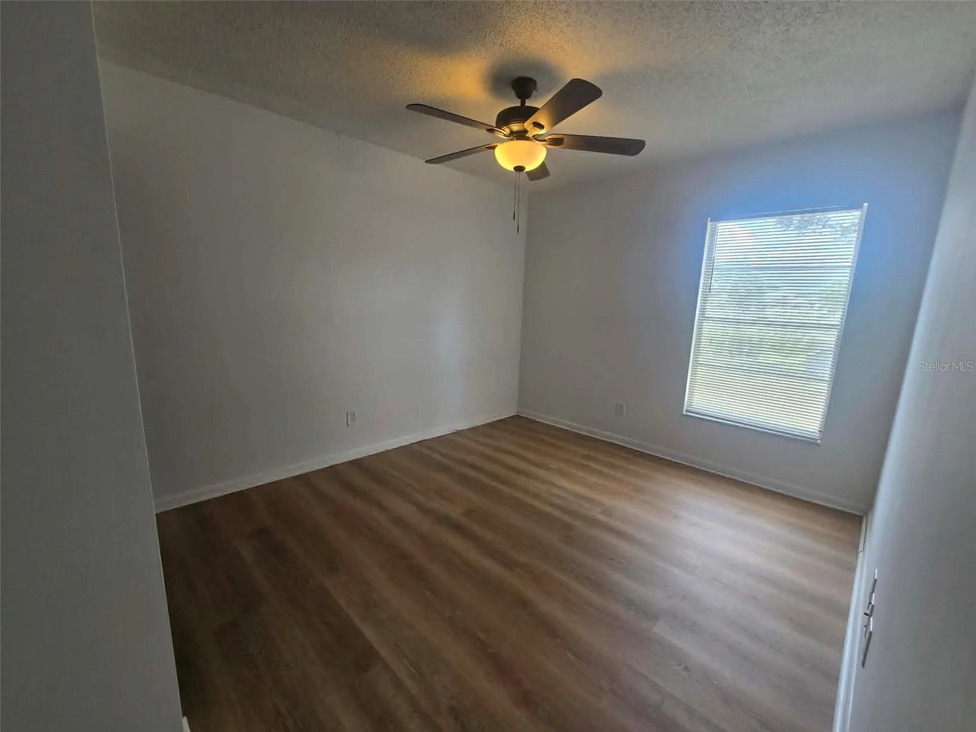 12412 Cardiff Drive Tampa FL 33625