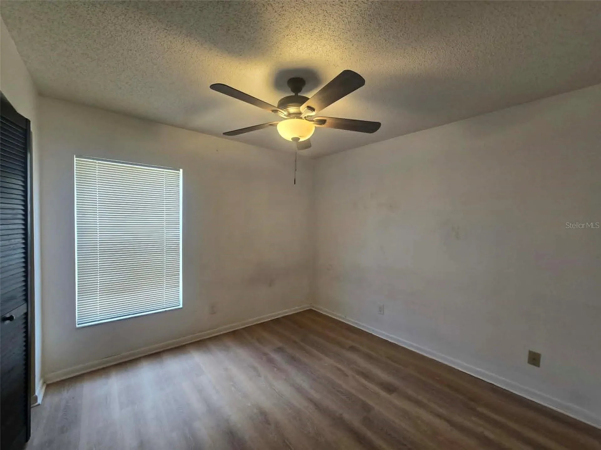 12412 Cardiff Drive Tampa FL 33625