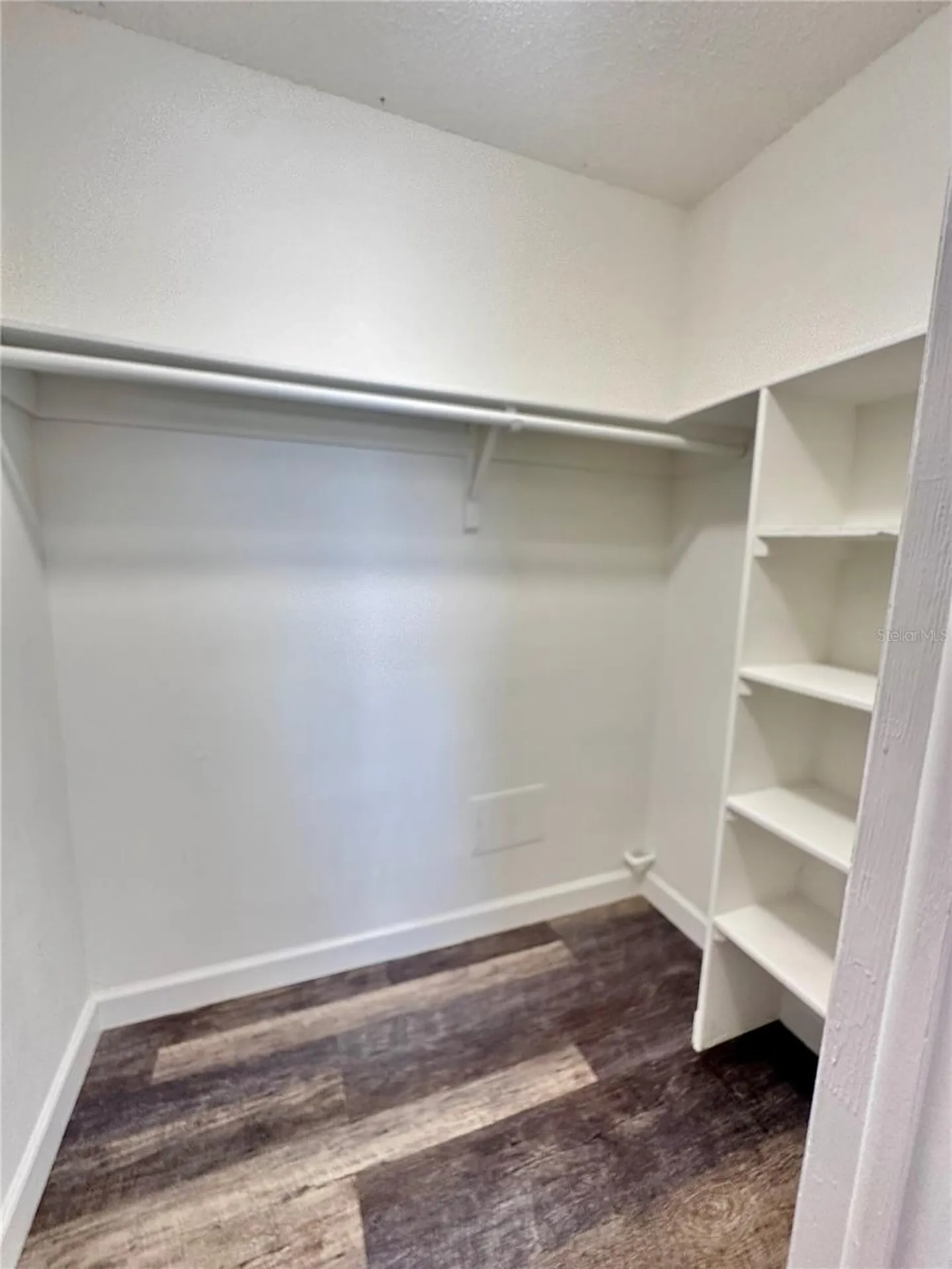 7512 Bolanos Court Tampa FL 33615