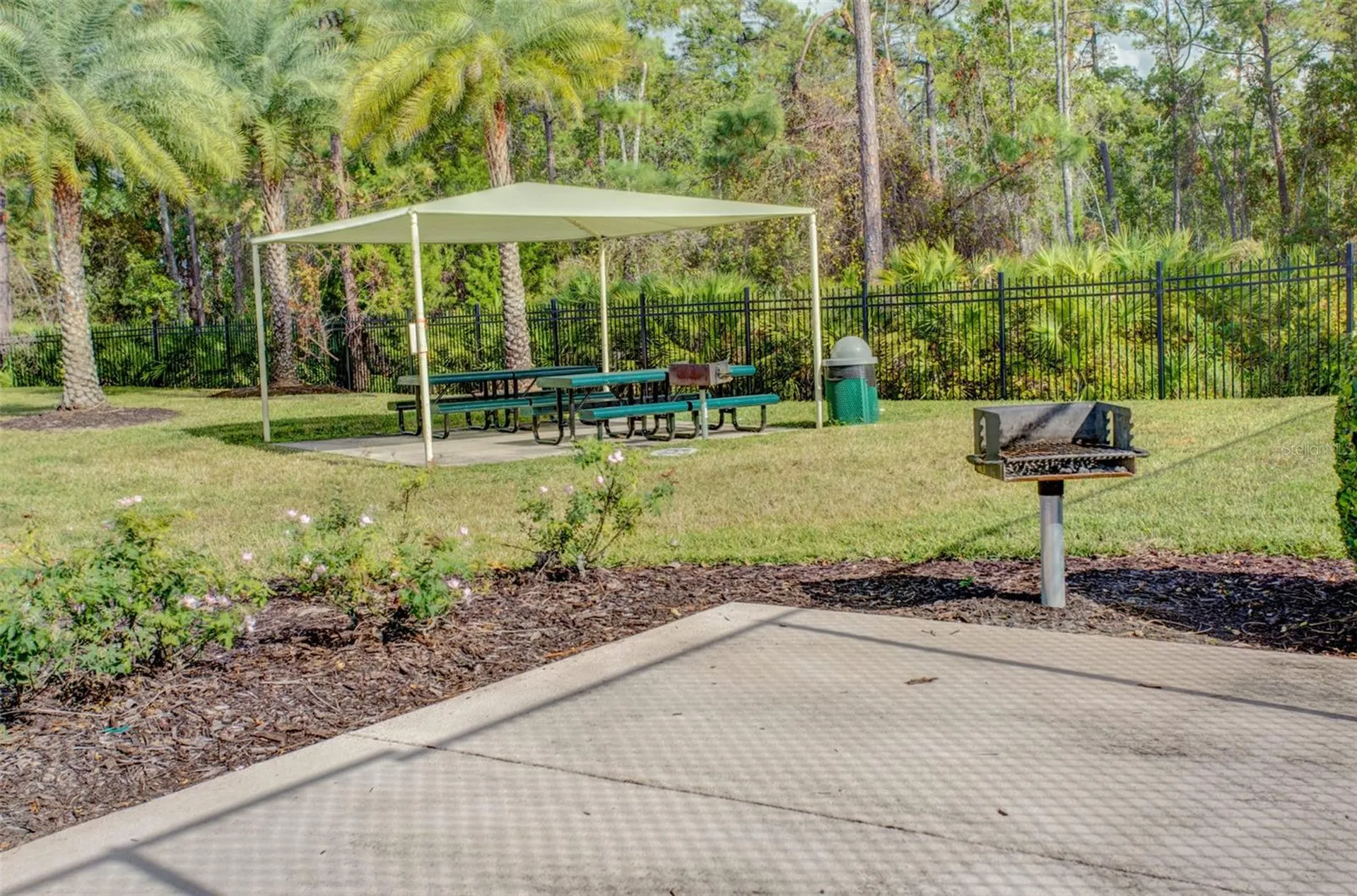 3405 Heirloom Rose Place Oviedo FL 32766
