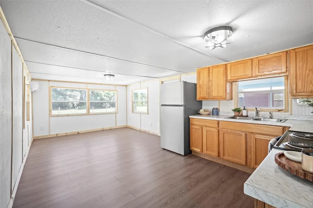 1389 NW 7th Lane Lake Panasoffkee FL 33538