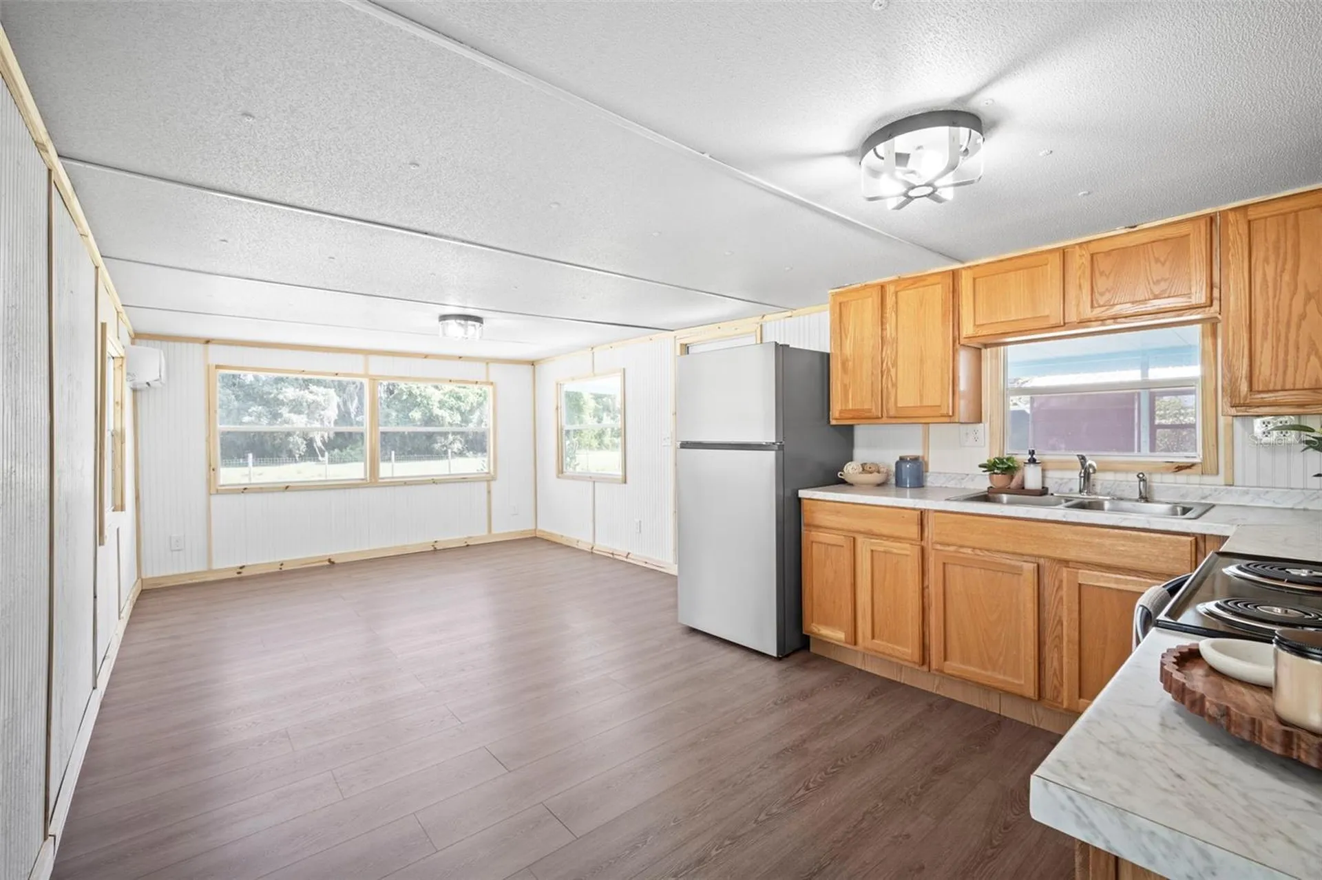 1389 NW 7th Lane Lake Panasoffkee FL 33538