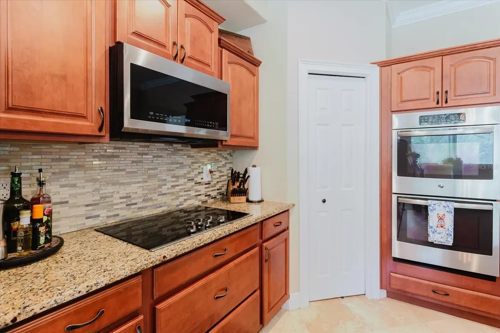 1839 Pink Guara Court Trinity FL 34655