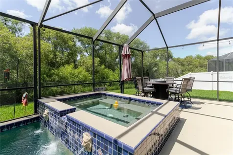 1839 Pink Guara Court Trinity FL 34655