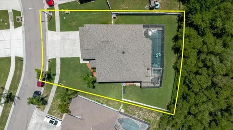 1839 Pink Guara Court Trinity FL 34655