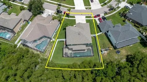 1839 Pink Guara Court Trinity FL 34655