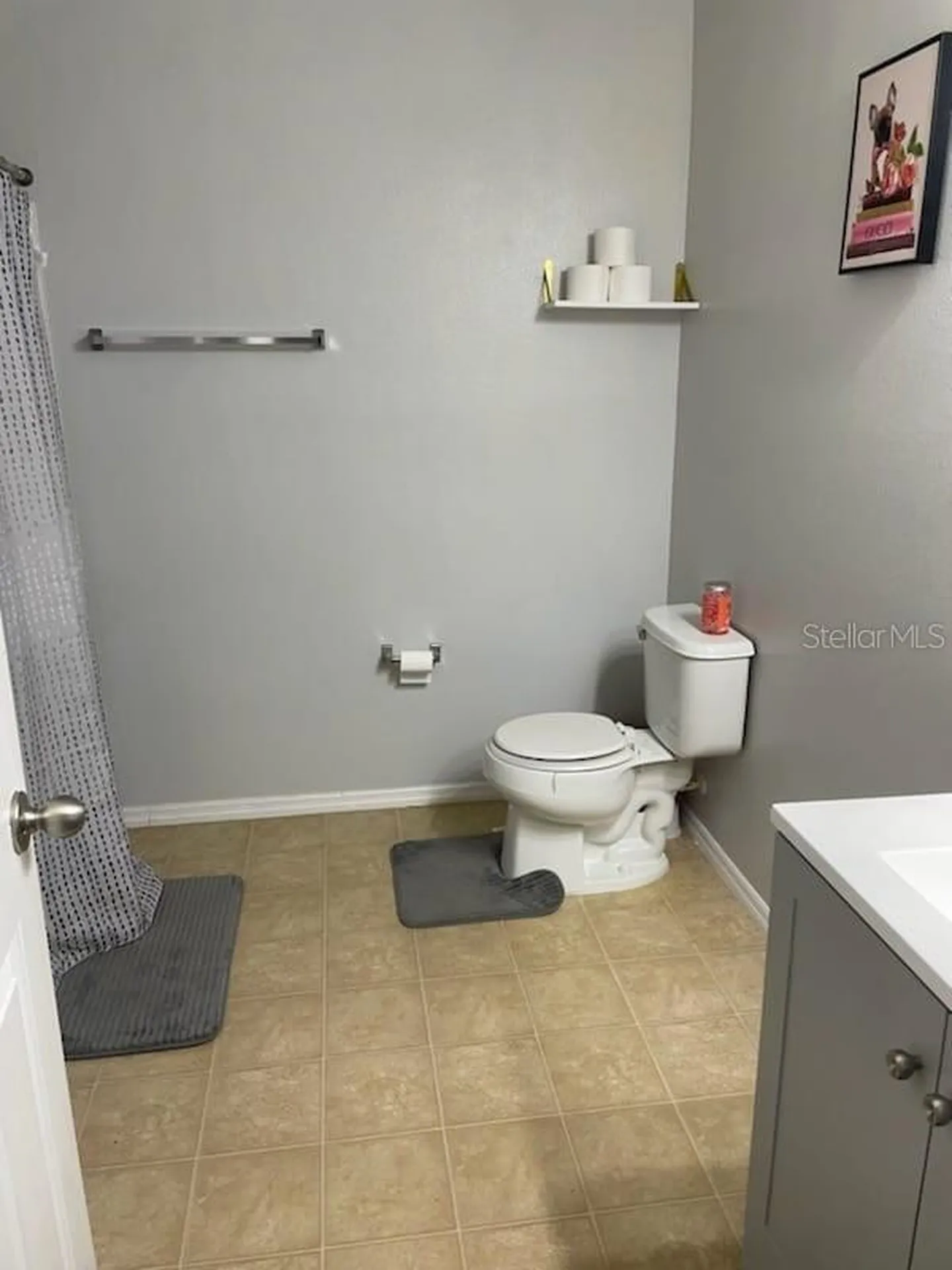 1034 Chalcedony Street Kissimmee FL 34744
