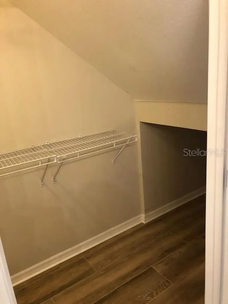 6344 Lake Smith Circle Windermere FL 34786