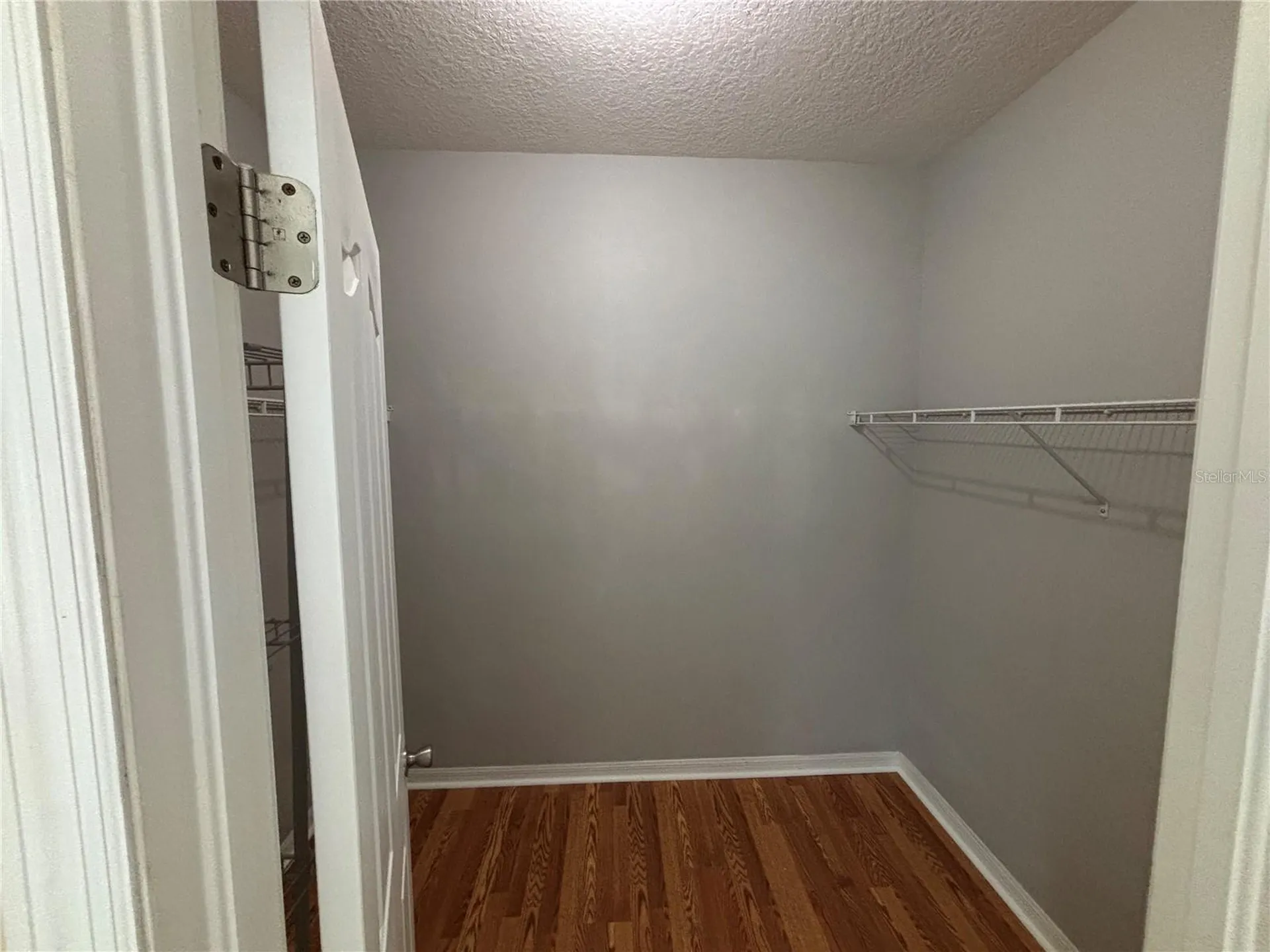 19131 Cypress Reach Lane Tampa FL 33647