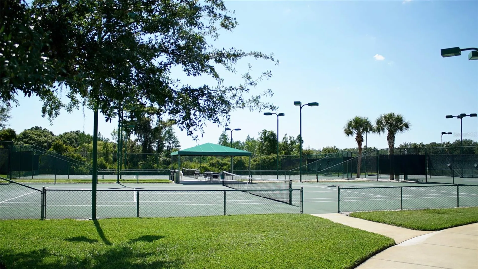19131 Cypress Reach Lane Tampa FL 33647