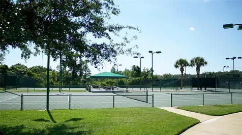 19131 Cypress Reach Lane Tampa FL 33647