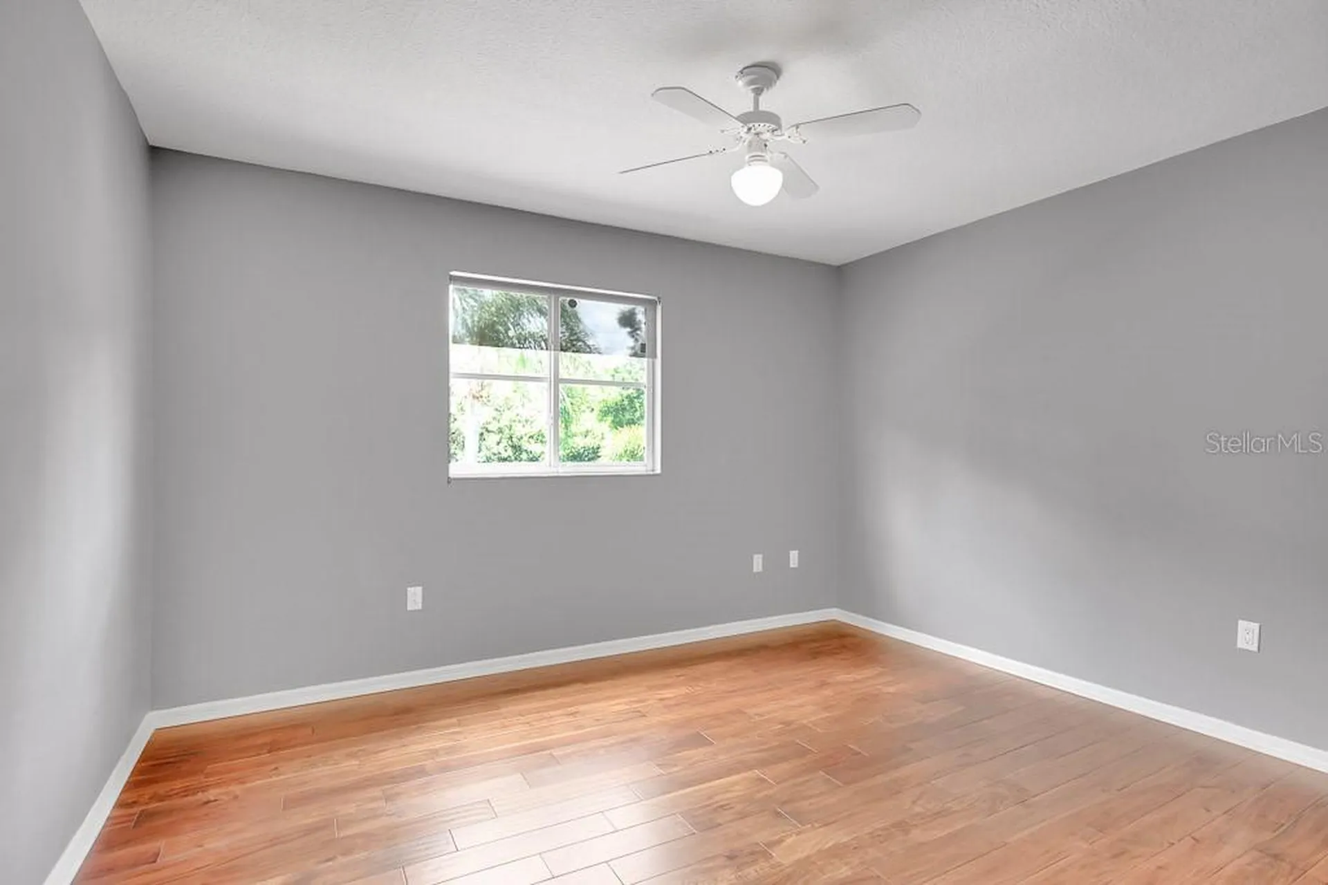 5602 Shady Creek Court Valrico FL 33596