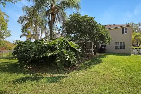 5602 Shady Creek Court Valrico FL 33596