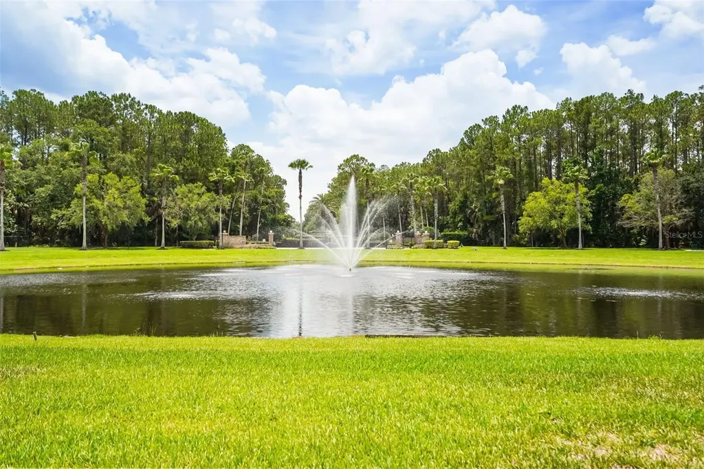 1699 Swallowtail Lane Sanford FL 32771