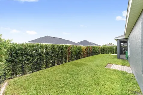 6557 Mcknight Loop The Villages FL 34762