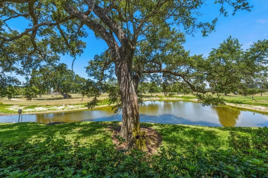 2152 Gulf View Boulevard Dunedin FL 34698