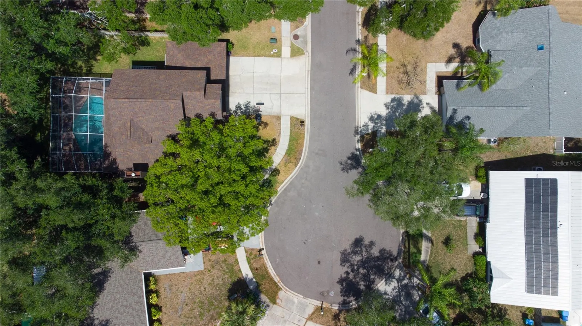 1564 Colony Court Palm Harbor FL 34683