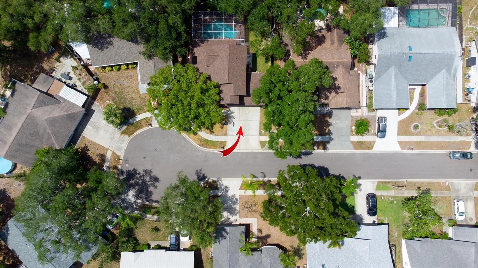 1564 Colony Court Palm Harbor FL 34683