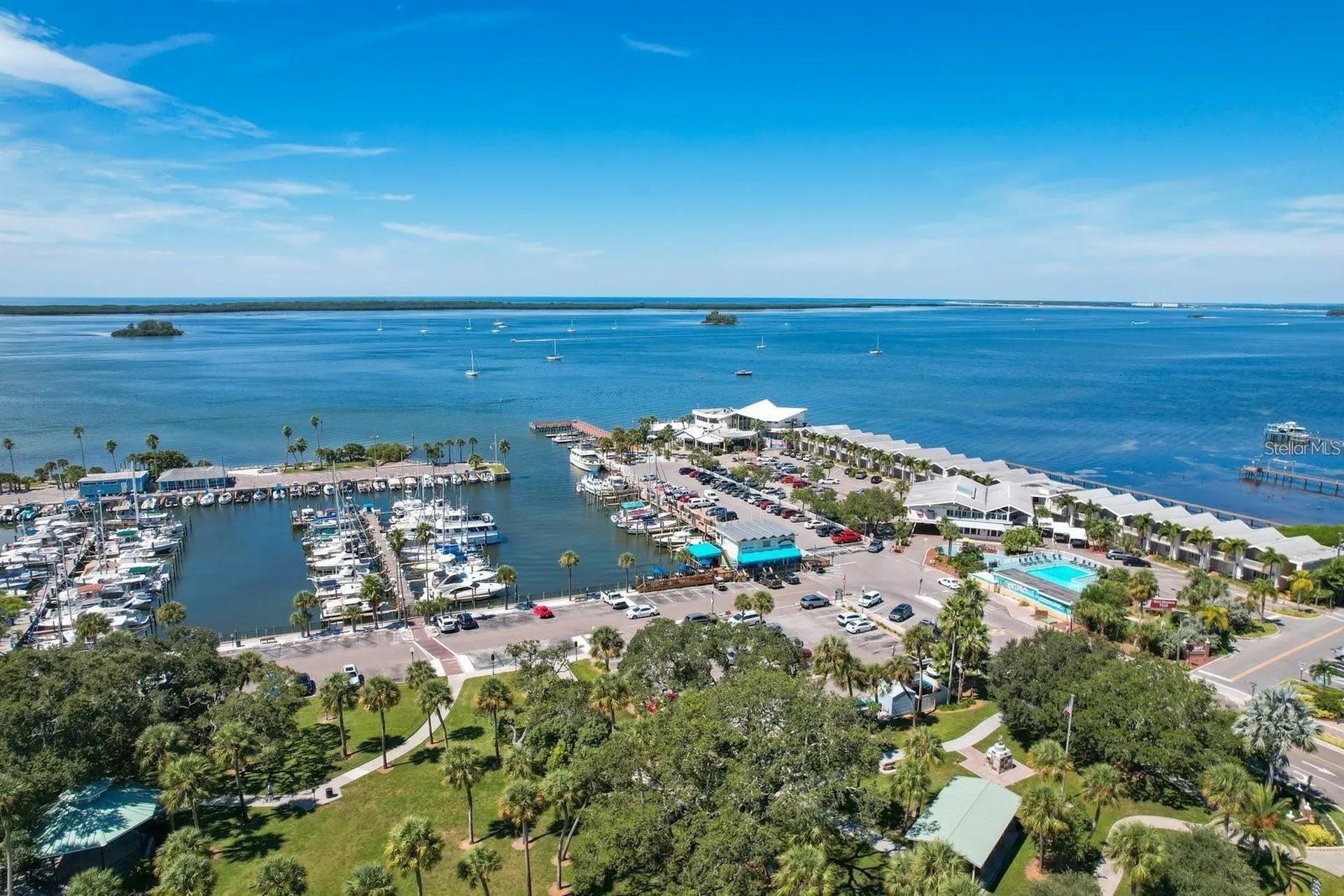 1564 Colony Court Palm Harbor FL 34683
