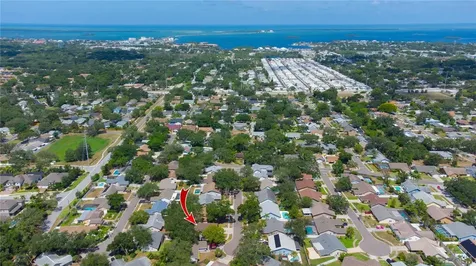 1564 Colony Court Palm Harbor FL 34683