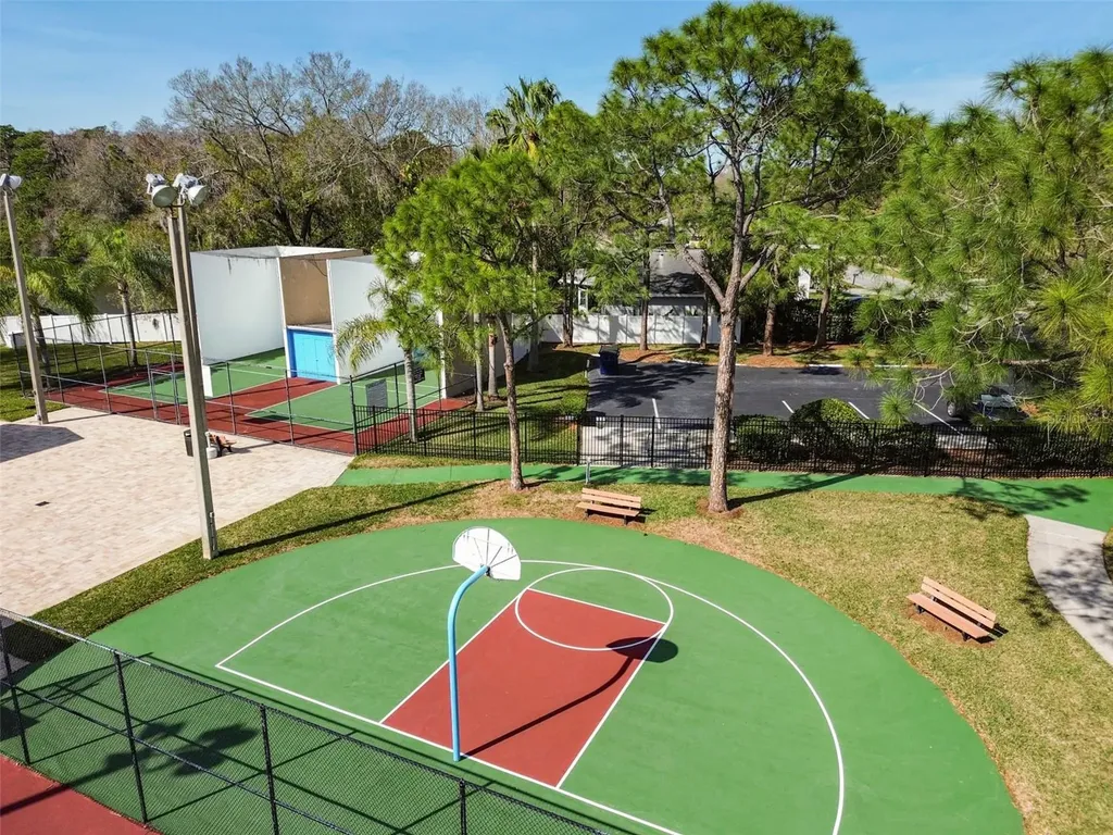650 Sweetbriar Drive Oldsmar FL 34677
