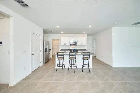 33405 Darley Dale Trail Wesley Chapel FL 33545