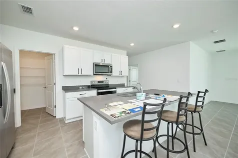 33405 Darley Dale Trail Wesley Chapel FL 33545