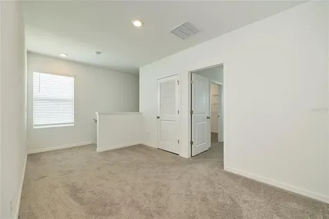 33405 Darley Dale Trail Wesley Chapel FL 33545