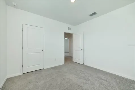 33405 Darley Dale Trail Wesley Chapel FL 33545