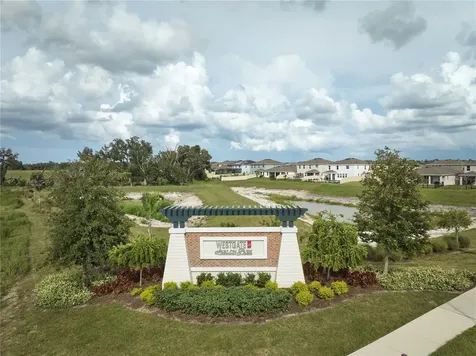 33405 Darley Dale Trail Wesley Chapel FL 33545