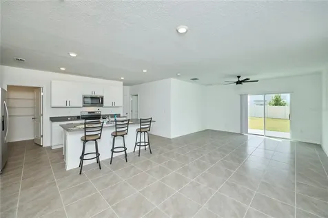 33405 Darley Dale Trail Wesley Chapel FL 33545