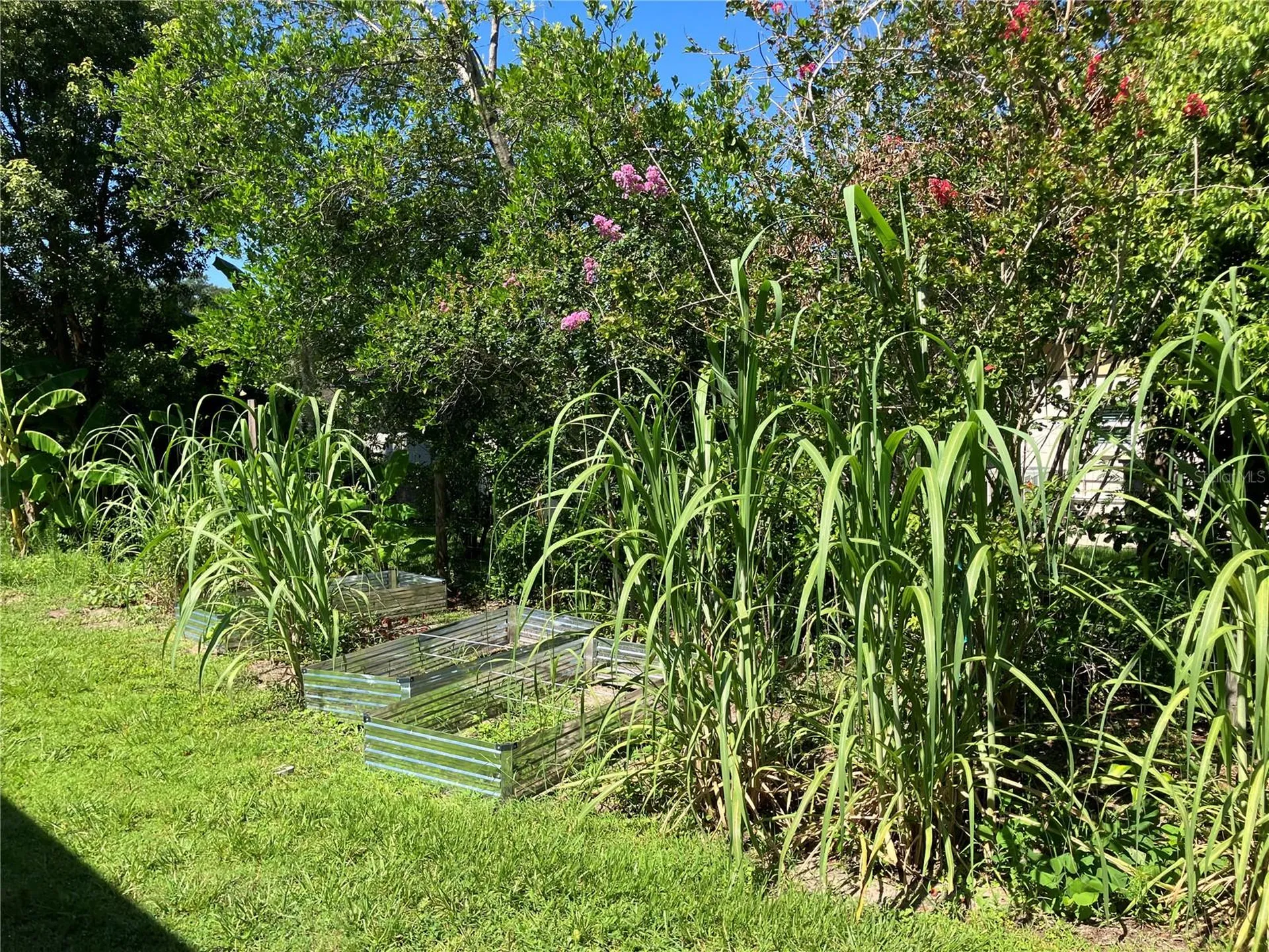 3834 Charter Road Lakeland FL 33810