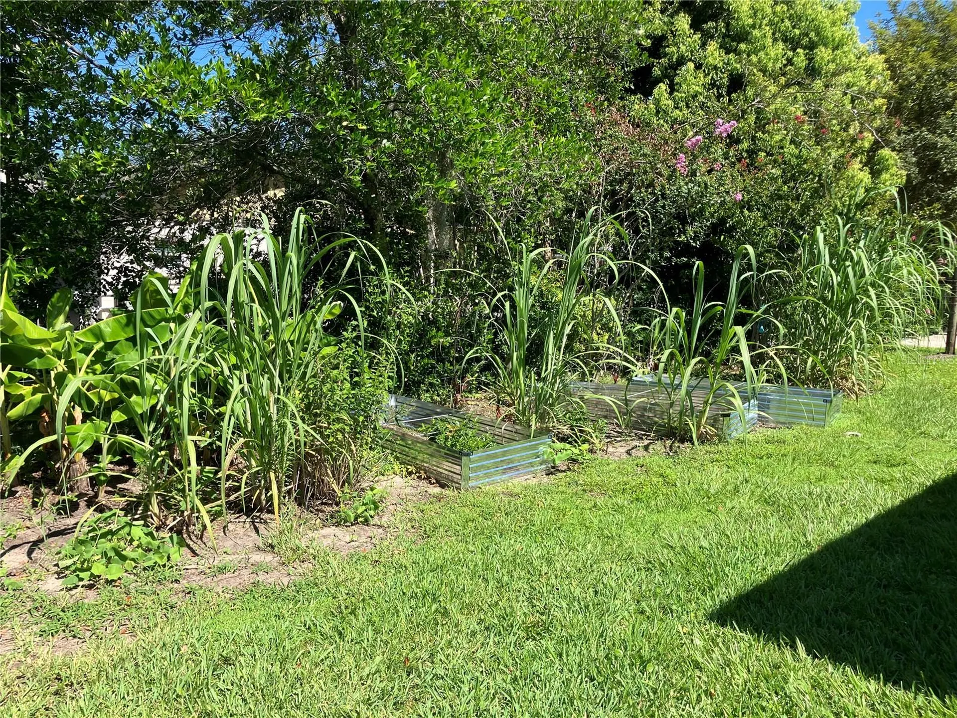 3834 Charter Road Lakeland FL 33810